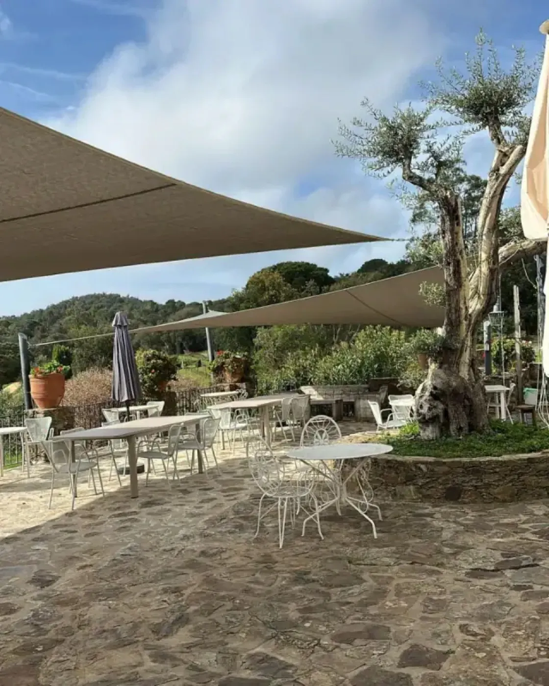 Terraza de restaurante cubierta con toldos vela