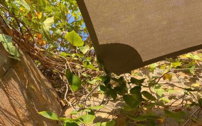 What fabric is used for shade sails?
