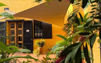 What design is suitable?